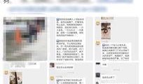 杭州杨女士最新爆料,揭秘某事件背后惊人真相