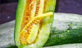 威海吃瓜网红是谁,揭秘当地美食圈风云人物！”