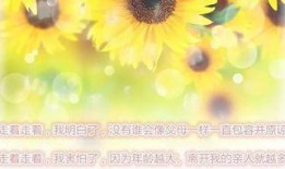 迟开的向日葵在线观看,探寻心灵绽放的奇迹之旅