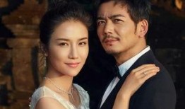 杨烁婚姻爆料视频大全下载,揭秘明星婚姻背后的真相