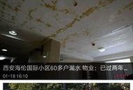 华商最新爆料网,揭秘行业黑幕，深度剖析事件真相