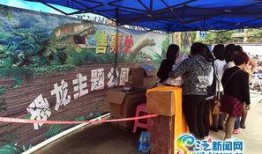 三亚官方新闻爆料网,揭秘三亚最新动态与热点事件