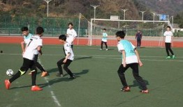 山西翔宇足球最新爆料,揭秘球队备战新赛季的神秘计划