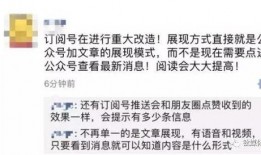 雷洲爆料头条最新消息