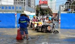 南宁市爆料新闻,XX事件引发关注，详情揭晓！