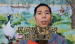 民间故事爆料视频大全集,视频大全集深度解析