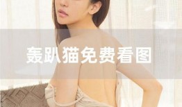 爆料小美御姐黑历史视频,那些被隐藏的黑历史视频真相