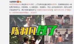 奶豆阿妍被爆料视频大全,揭秘网络爆料的真相与影响