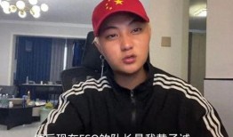 黄子诚视频爆料大全下载,揭秘娱乐圈幕后真相