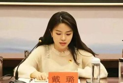 戴璐爆料人道歉了吗视频,道歉视频背后的真相与反思