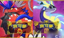 宝可梦珠子最新爆料图片,神秘图案揭示未知宝可梦