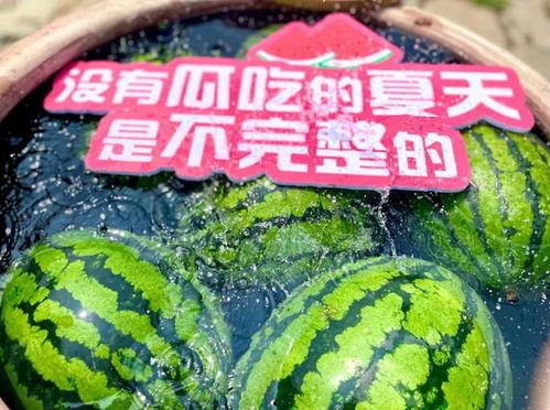 娱乐场所日常吃瓜