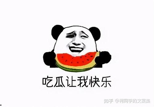娱乐吃瓜点评文案搞笑,笑料百出，瓜皮满天飞